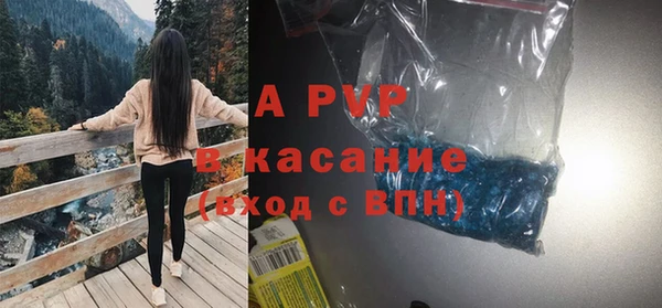 ешки Аркадак