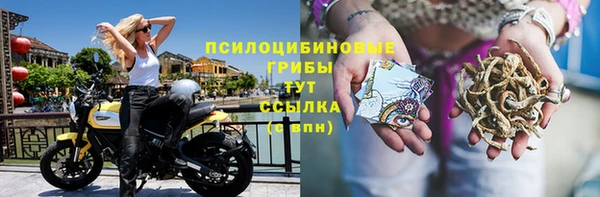 гидра Армянск